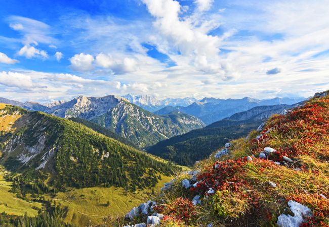 Genusswandern in den Ammergauer Alpen